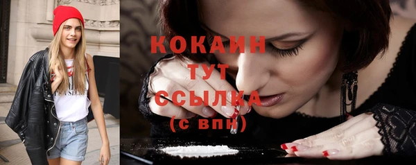 mix Козельск