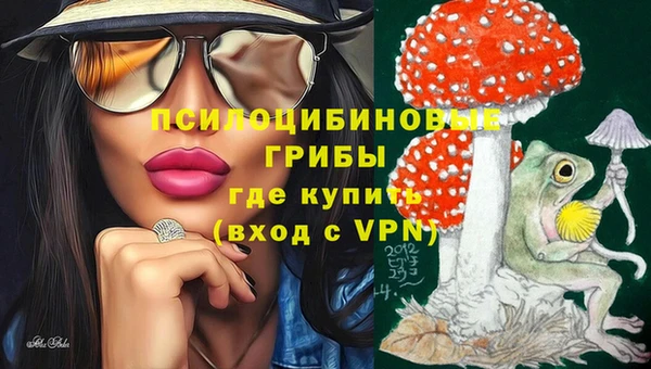 эйфоретик Кодинск