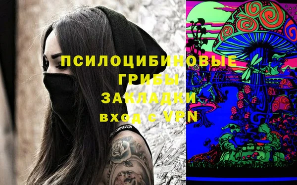 mix Козельск