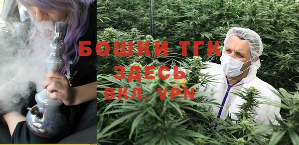 ешки Козловка