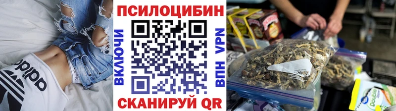 Купить закладки  Биробиджан  Псилоцибиновые грибы прущие грибы 